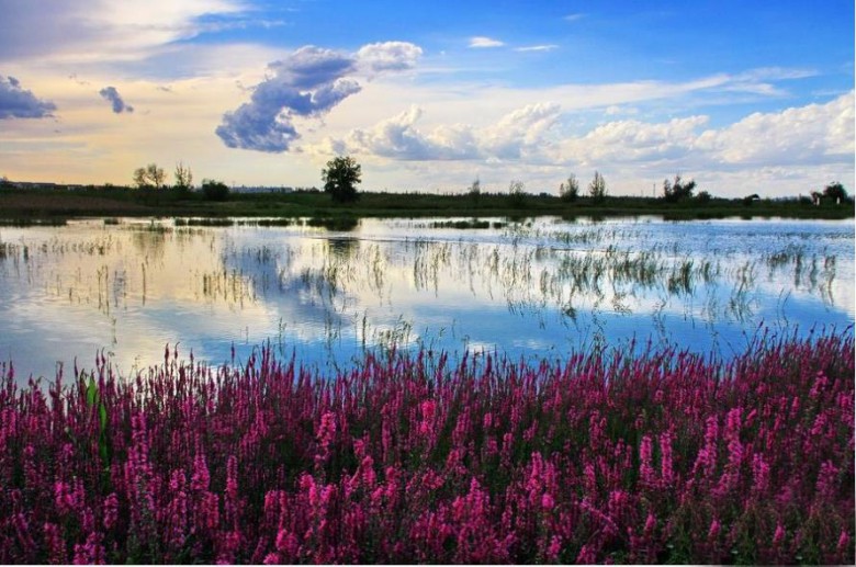 张掖国家湿地公园图片